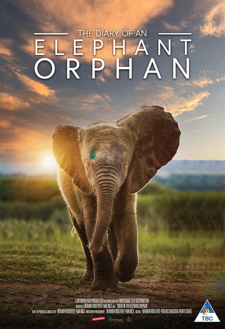 Diary of an Elephant Orphan poster